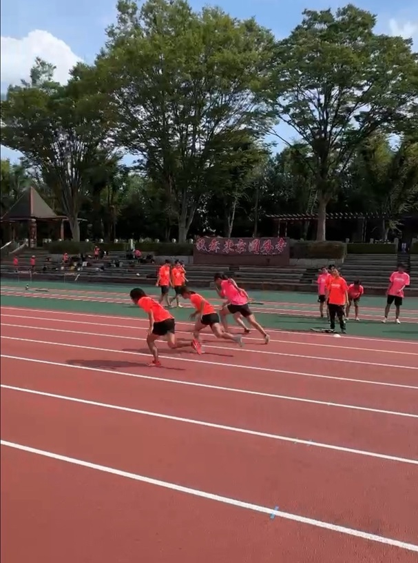 画像 -20250828-043316-844f6ddb